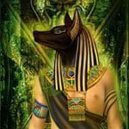 0Anubis0