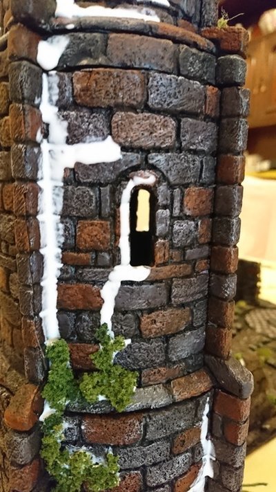 Vegetación Vegetación