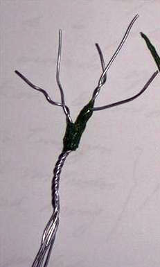 Estructura