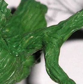 Ramas