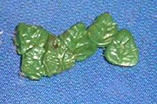 Hojas