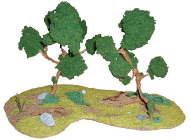 &Aacute;rboles y terrenos boscosos