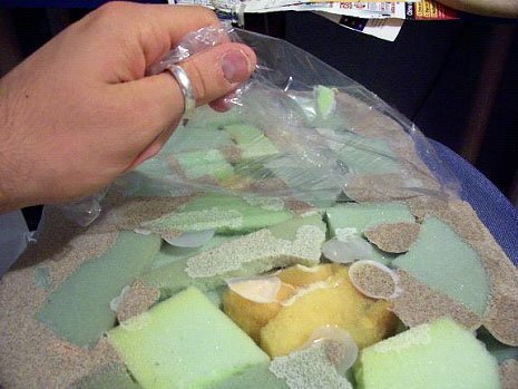 Eliminamos la protecci&oacute;n de la base