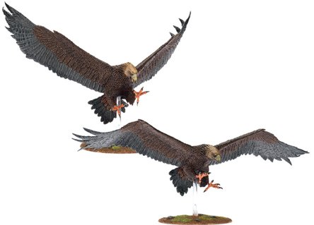 Aguilas Aguilas