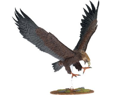 Aguilas Aguilas