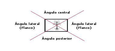 Angulos Angulos