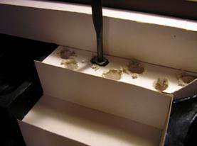 Huecos para pinceles y punzones