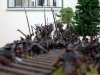 La carga de los rohirrim
