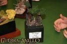 GD 2006 - Diorama ccarolus